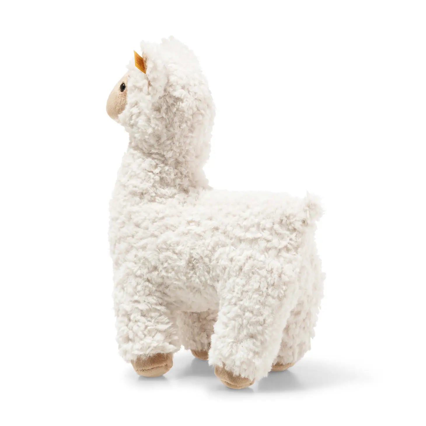 Leandro Llama