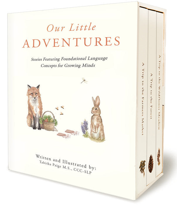 Our Little Adventures Board Book Box Set
