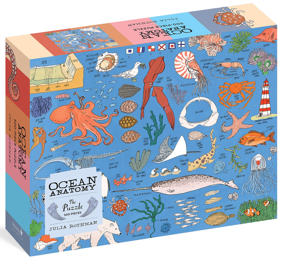 Ocean Anatomy Puzzle (500 pieces)