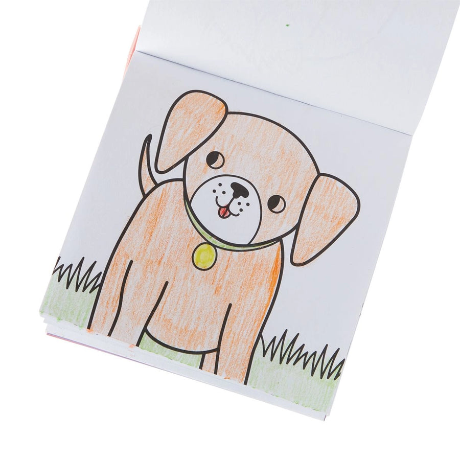 Carry Along Crayon & Coloring Book Kit - Pet Pals