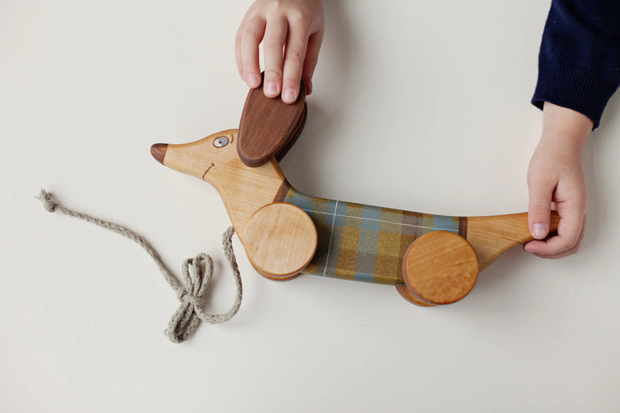 Wooden Green Sausage Dog Pull Toy