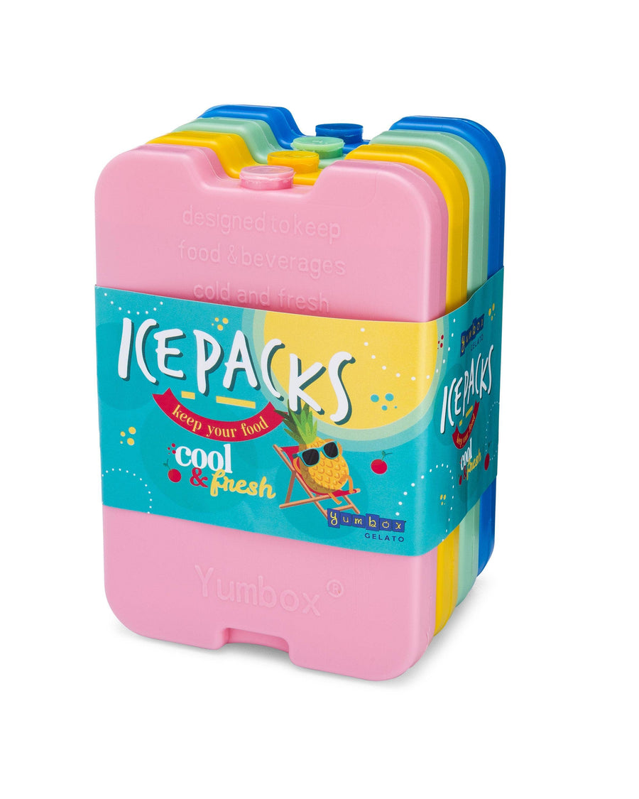 Ice Packs Set of 4