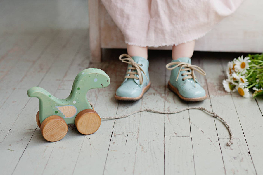 Wooden Dinosaur Pull Toy