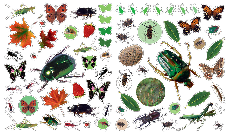 Eyelike Stickers - Bugs