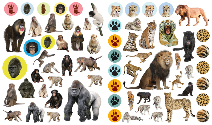 Eyelike Stickers - Wild Animals