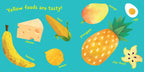 Indestructibles: Baby, Find the Shapes!