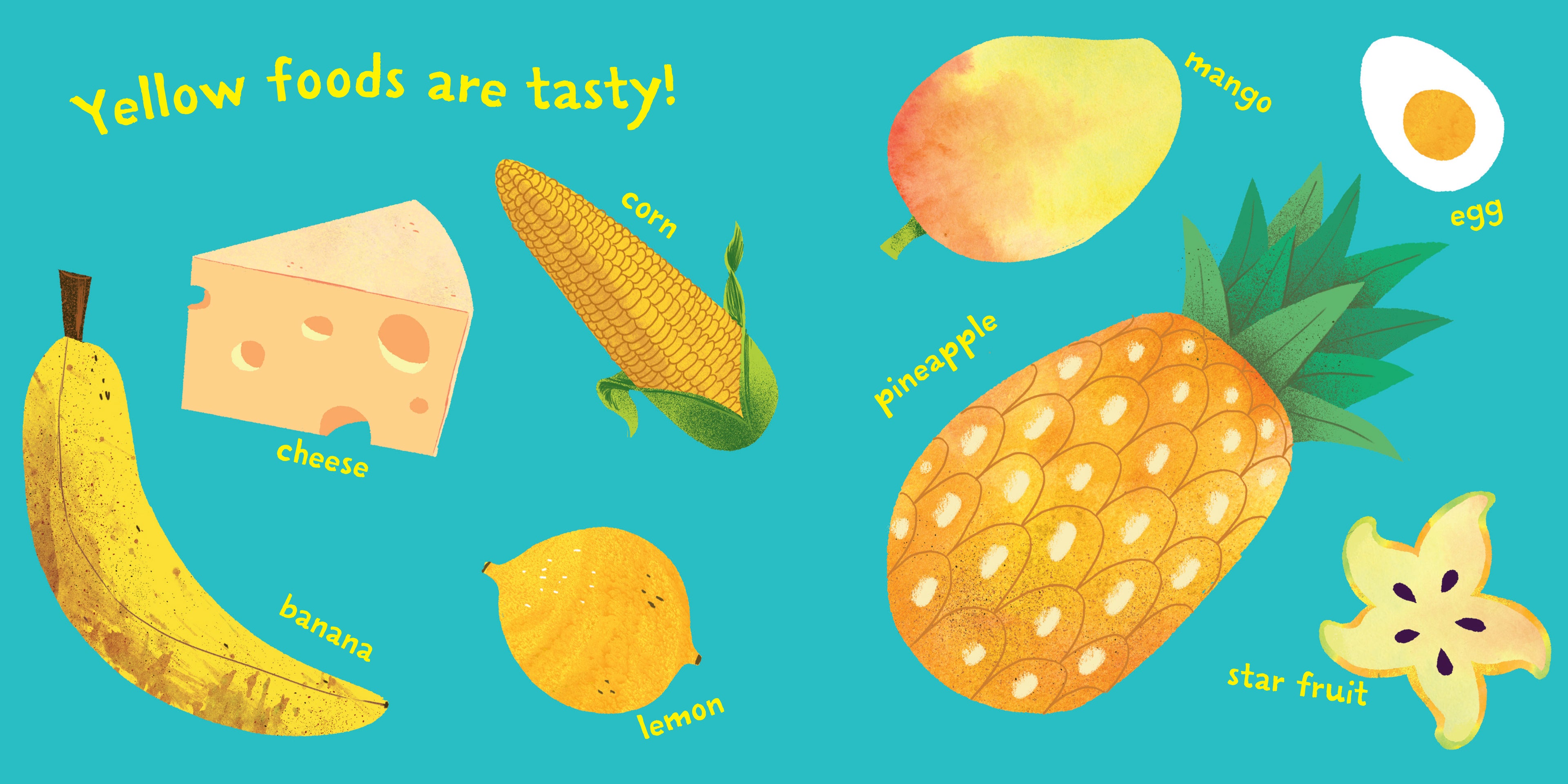 Indestructibles: Baby, Find the Shapes!