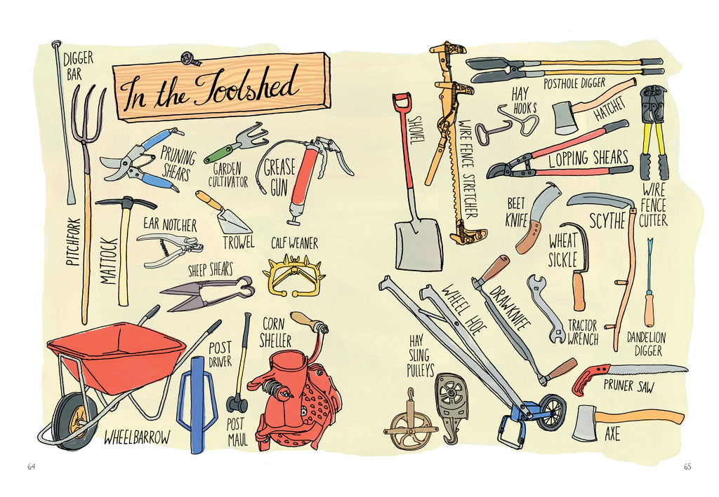 Farm Anatomy