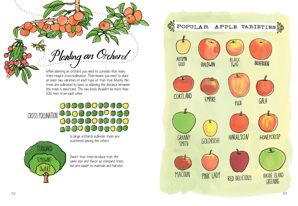 Farm Anatomy