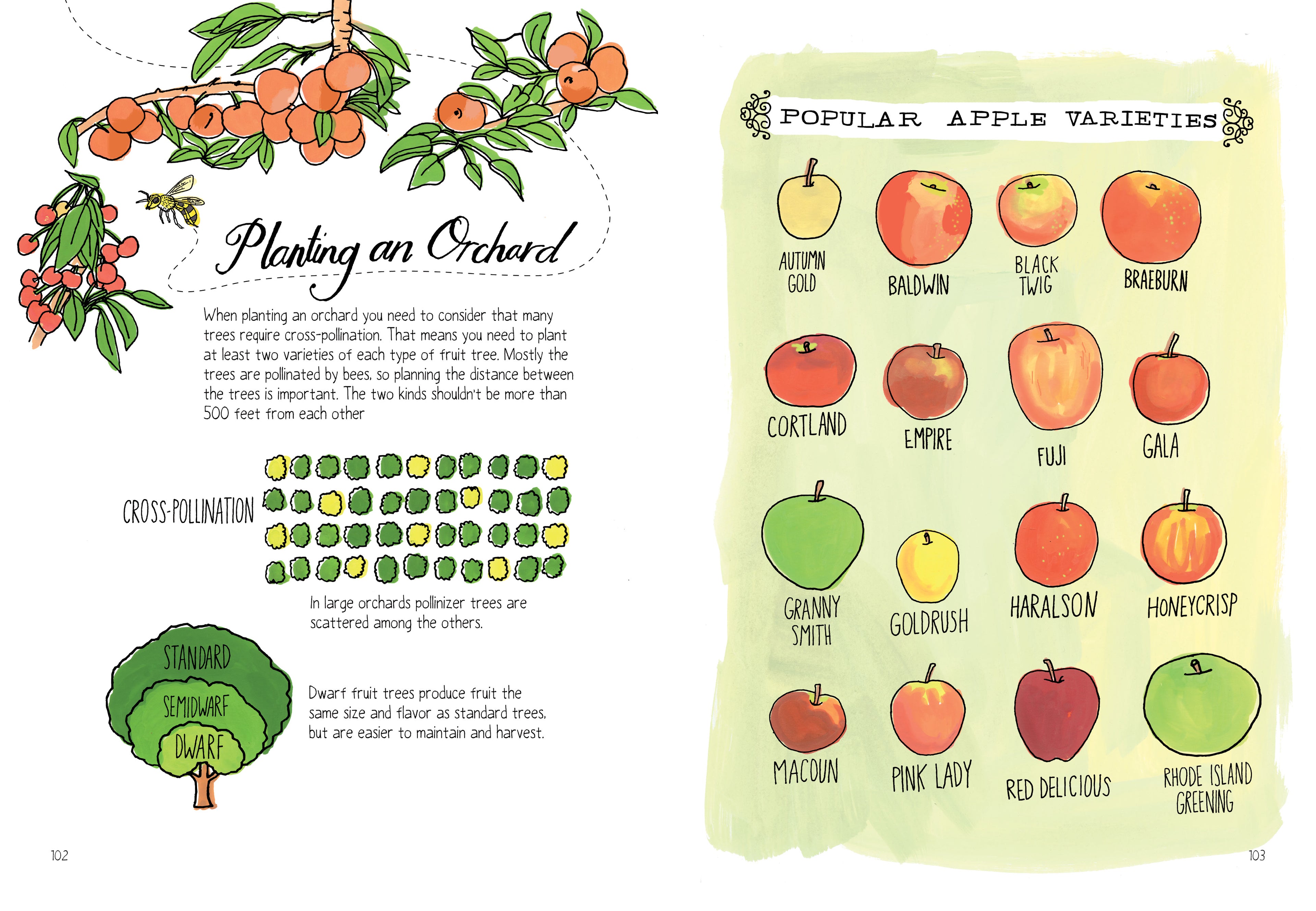 Farm Anatomy