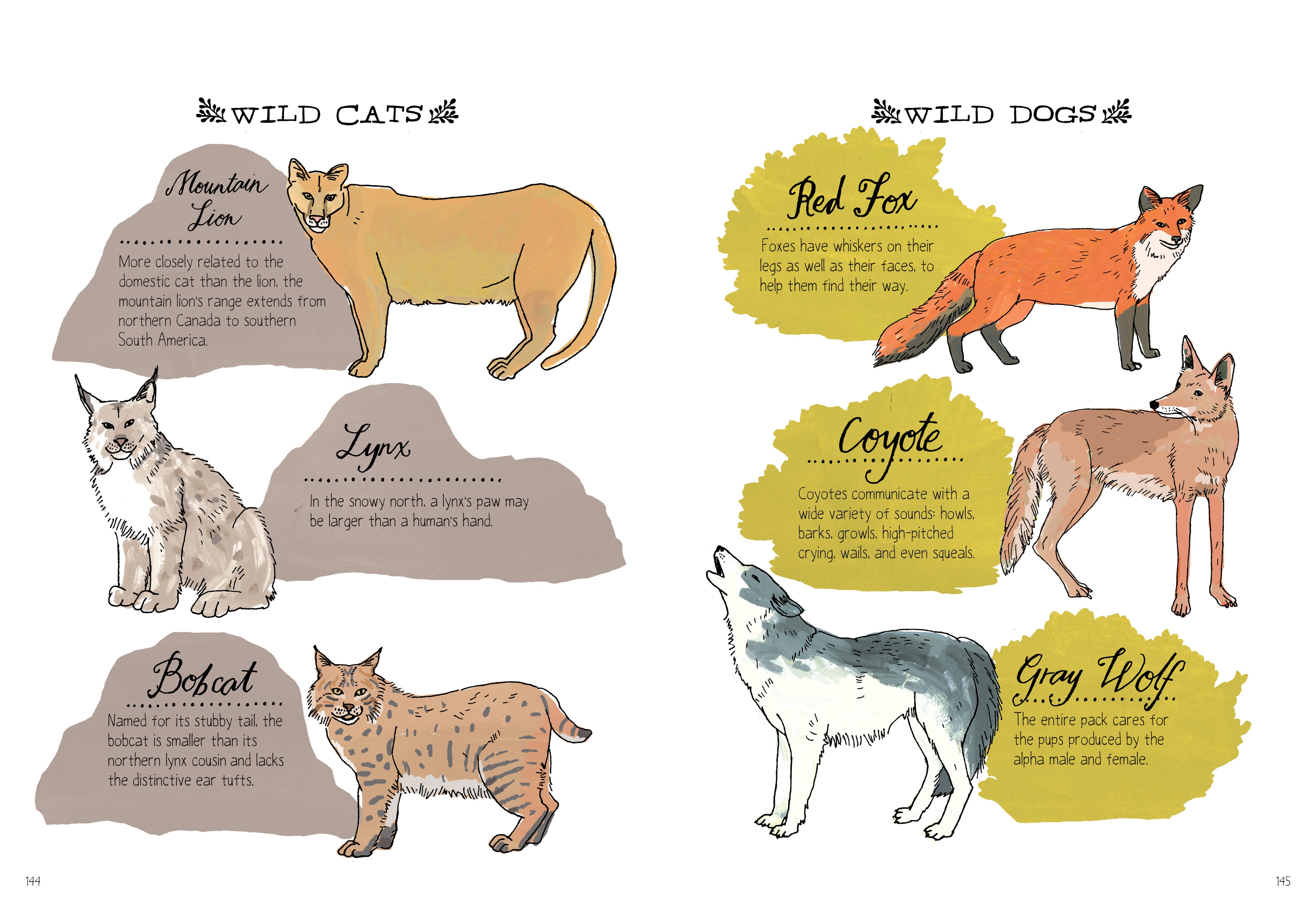 Nature Anatomy