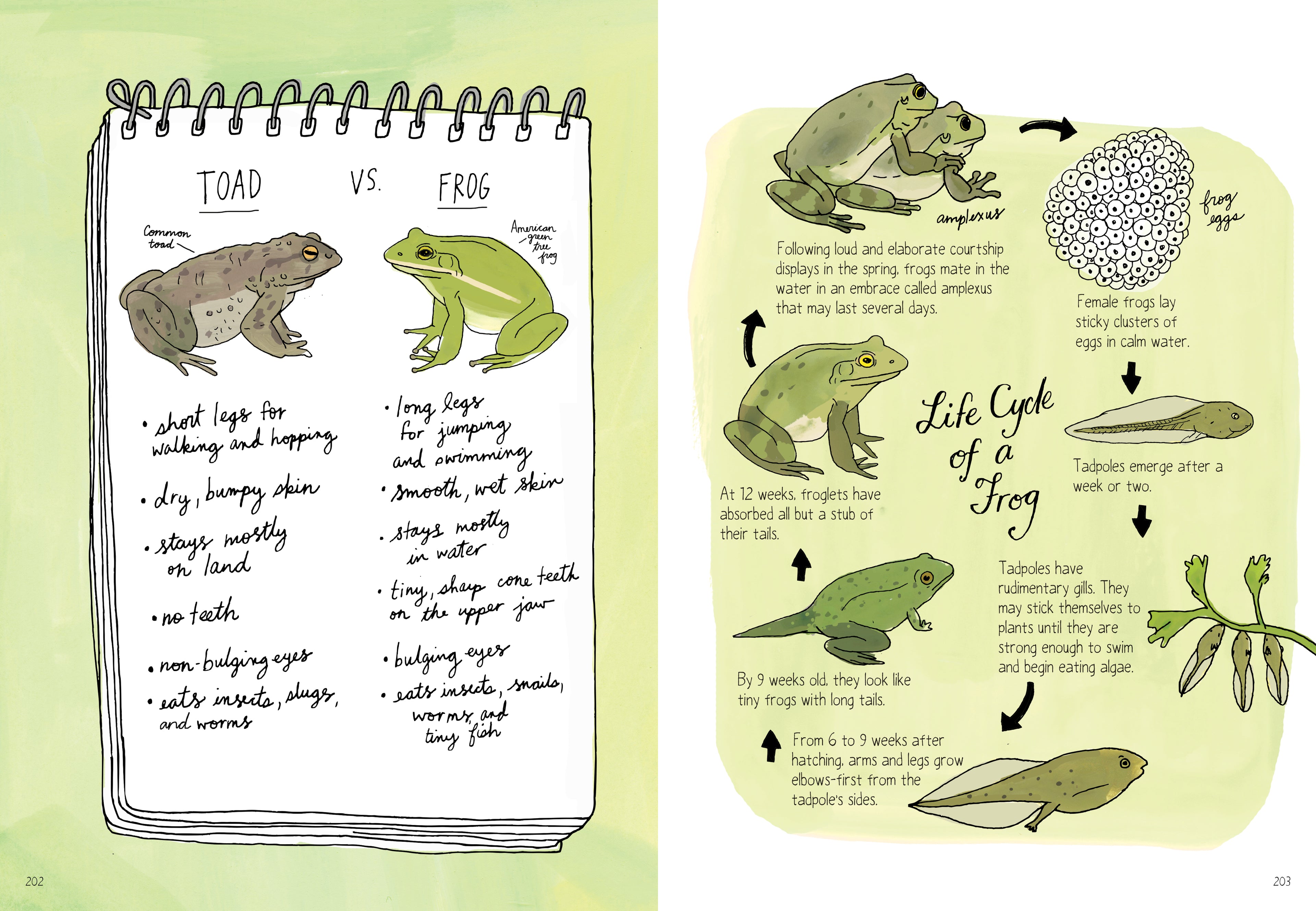 Nature Anatomy