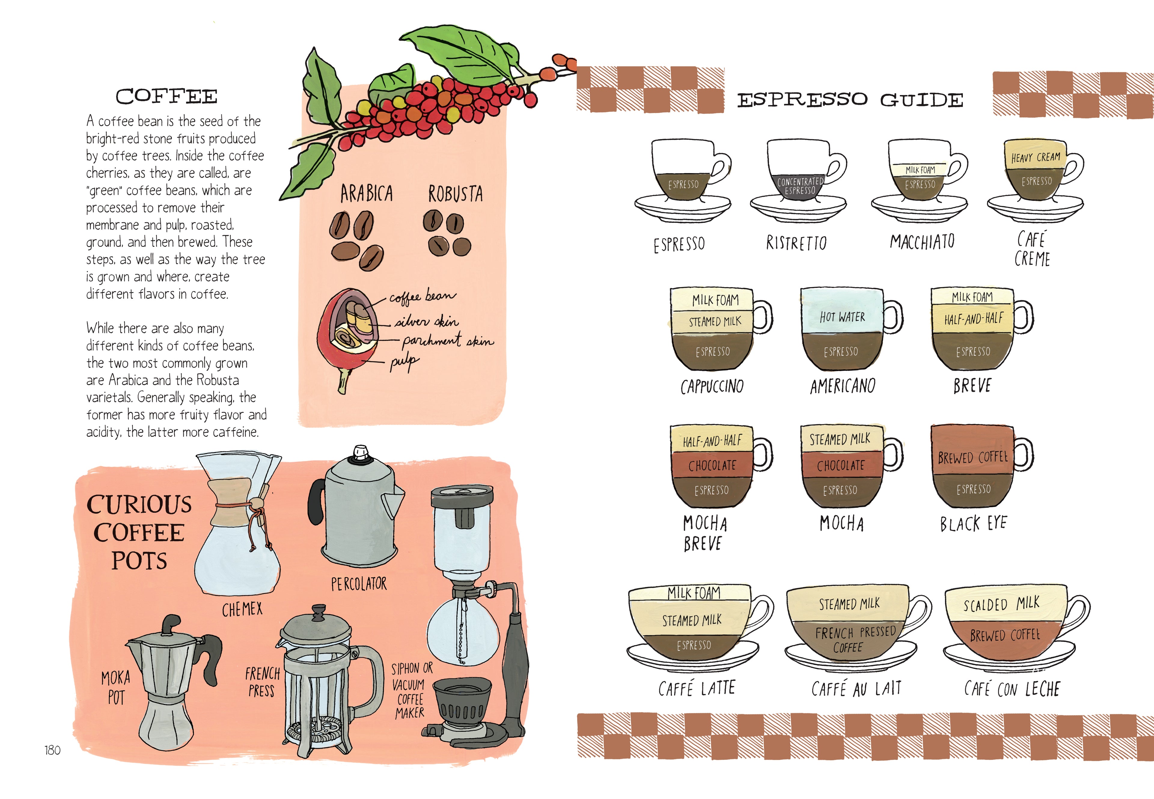 Food Anatomy