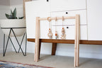 Play Gym Stand