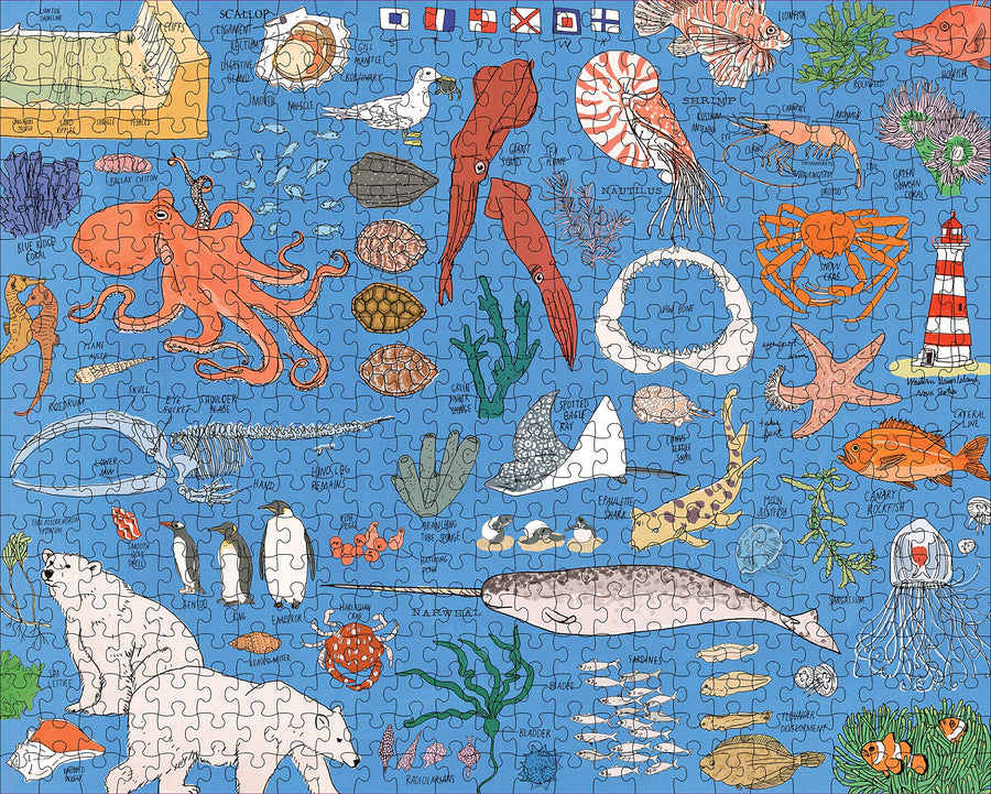 Ocean Anatomy Puzzle (500 pieces)