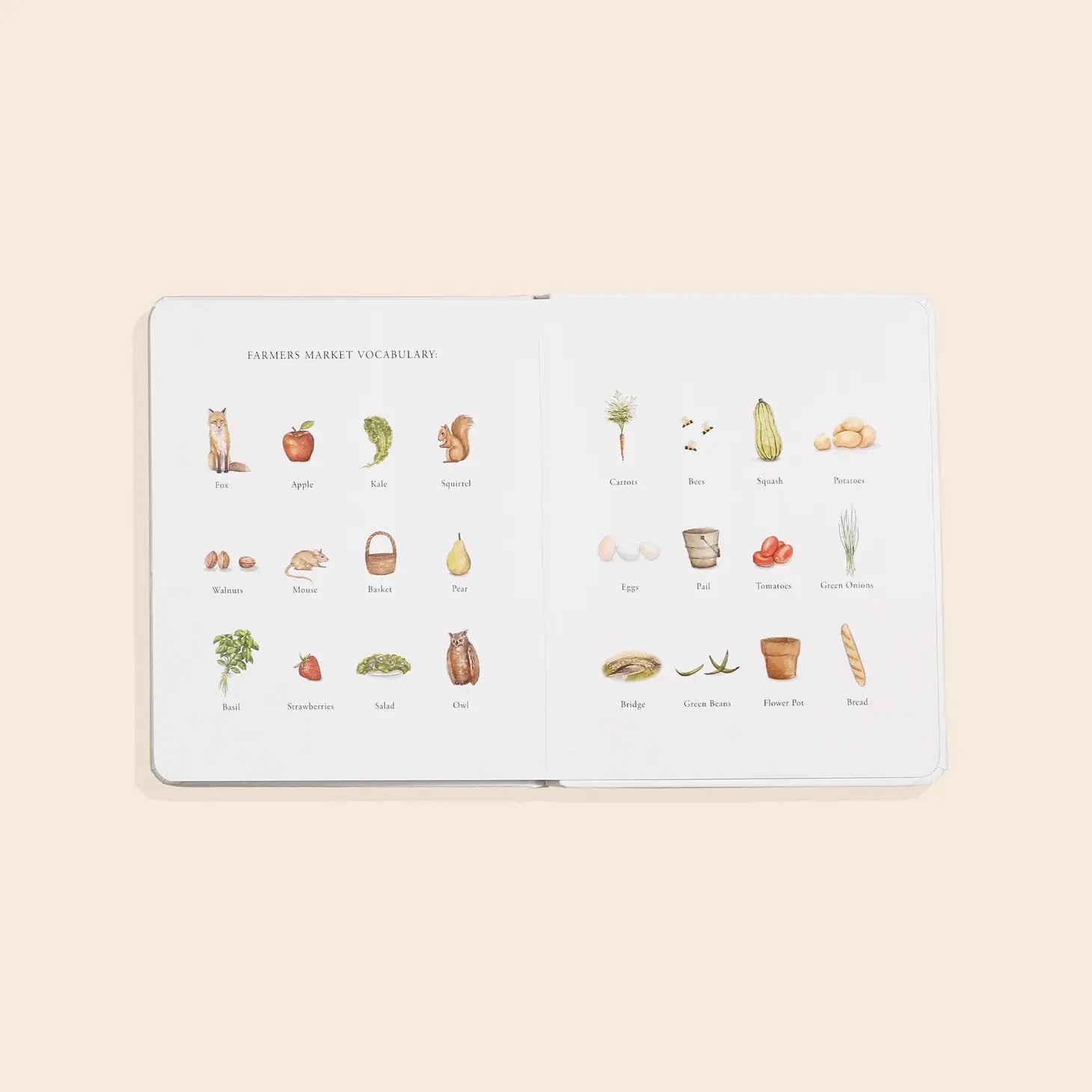 Our Little Adventures to the Farmers Market Board Book