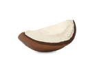 Coco the Coconut