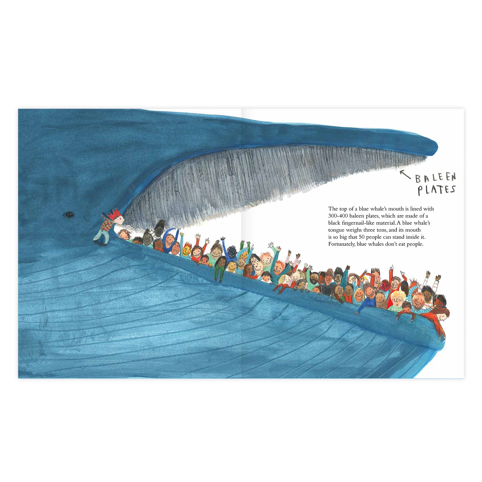 The Blue Whale