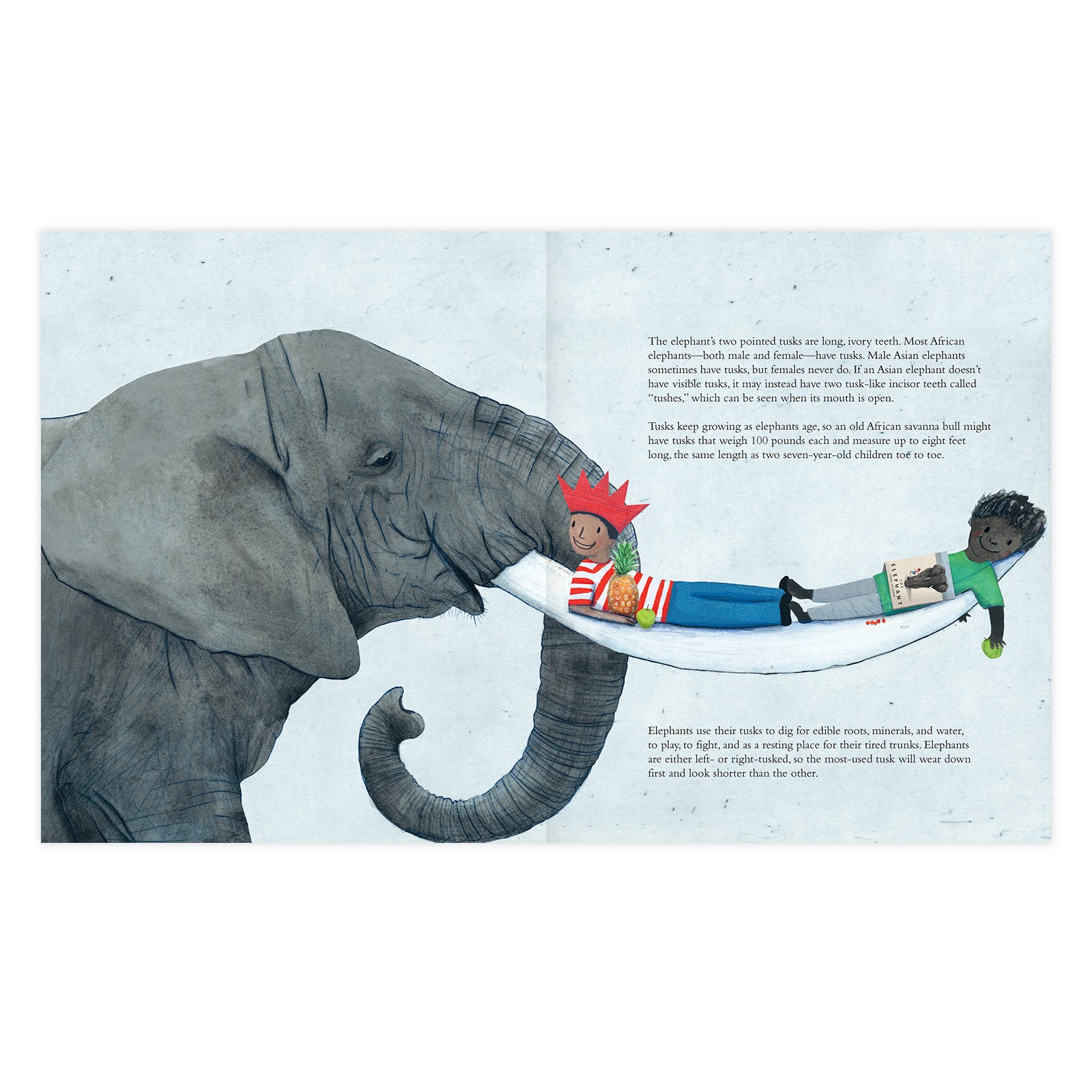 The Elephant
