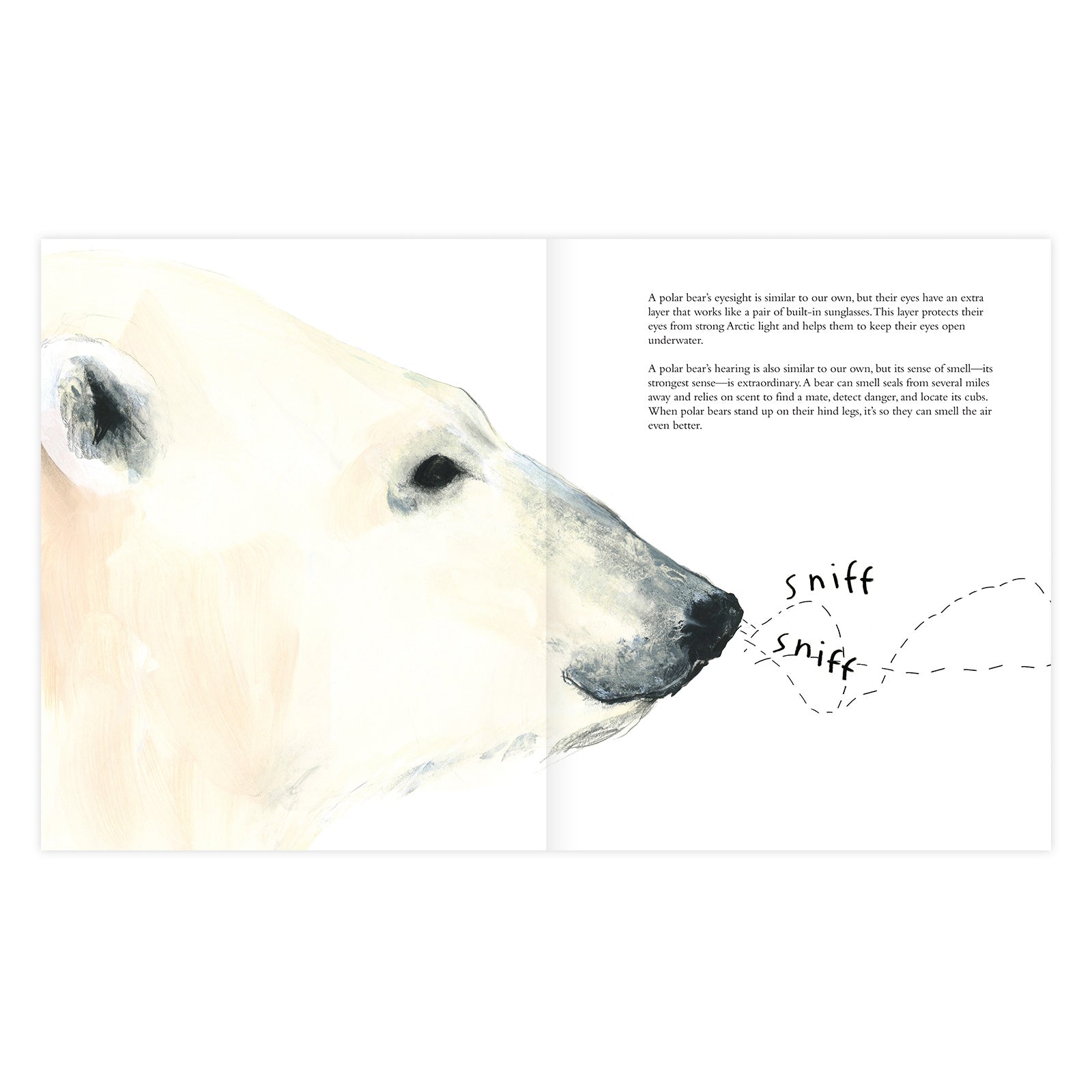 The Polar Bear